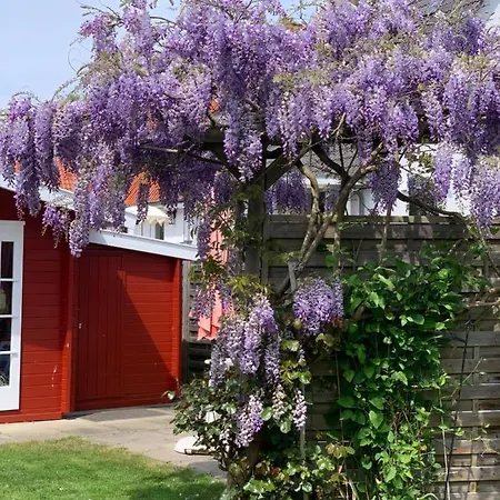 Komfort Ferienwohnung Kroemer 3-Zimmer, Garten, Strand 300 M Timmendorfer Strand Extérieur photo
